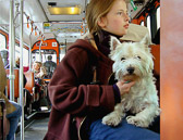 Dogs are often passengers on public transportation in Paris.