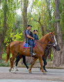 Police on horse back patrol the wealthier neighborhoods of Mendosa.