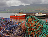 Dingle is well known for it's lively pub music and colorful fishing harbor.